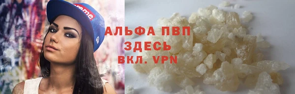 СК Нефтекумск