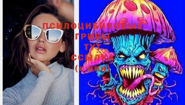 сатива Нея