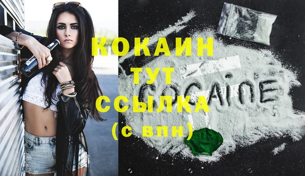 сатива Нея