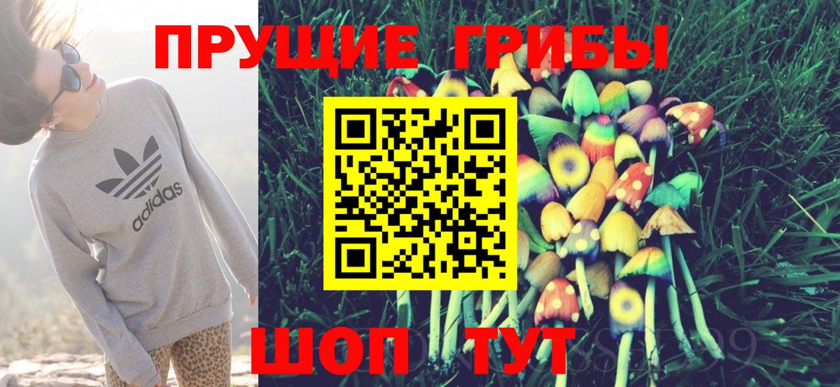 Псилоцибиновые грибы мухоморы  Псилоцибиновые грибы прущие грибы  цены наркотик  Вход с VPN  Казань 