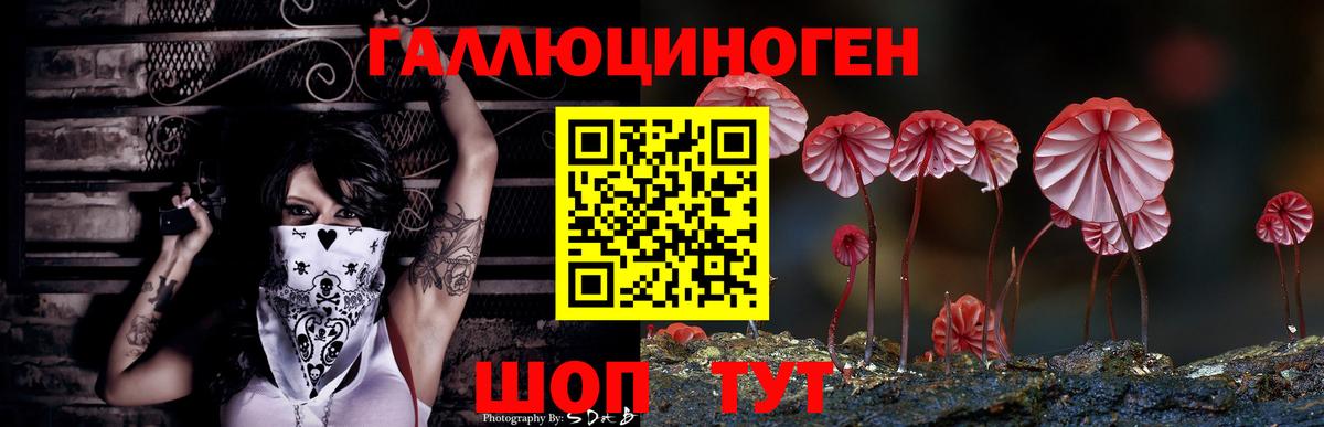 Галлюциногенные грибы Cubensis  Казань 